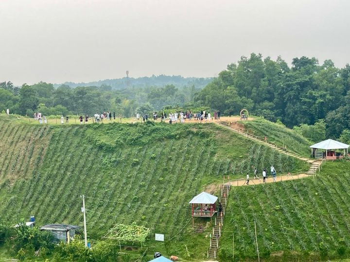 প্রকৃতির সৌন্দর্য উপভোগ করুন
