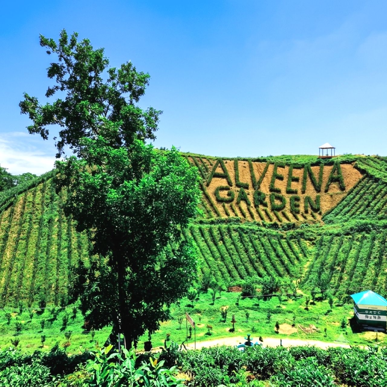 Alveena Hill Tourist Spot